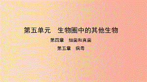 2019中考生物總復習 第一部分 基礎考點鞏固 第五單元 生物圈中的其他生物 第四 五章 細菌 真菌以及病毒.ppt