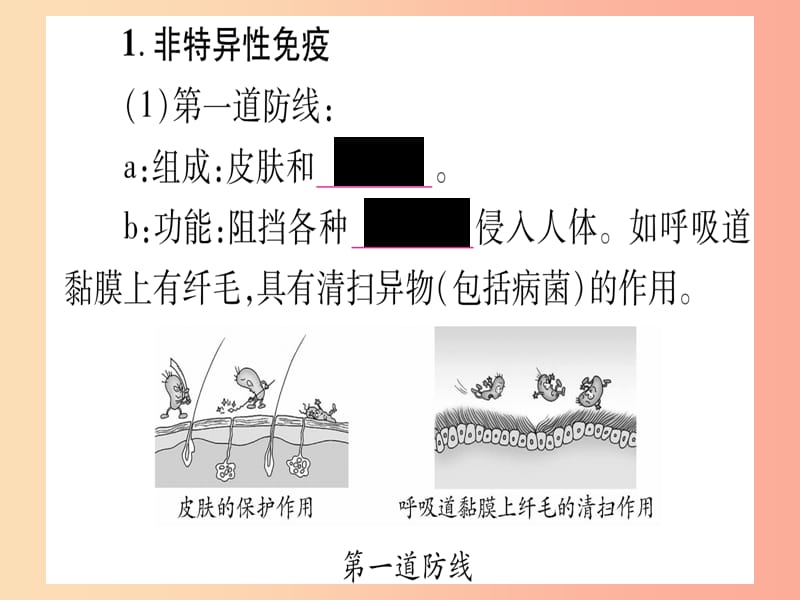 2019年中考生物 第2单元 第6章 增强免疫 预防疾病 第7章 科学用药 保障健康教材复习课件 冀教版.ppt_第3页