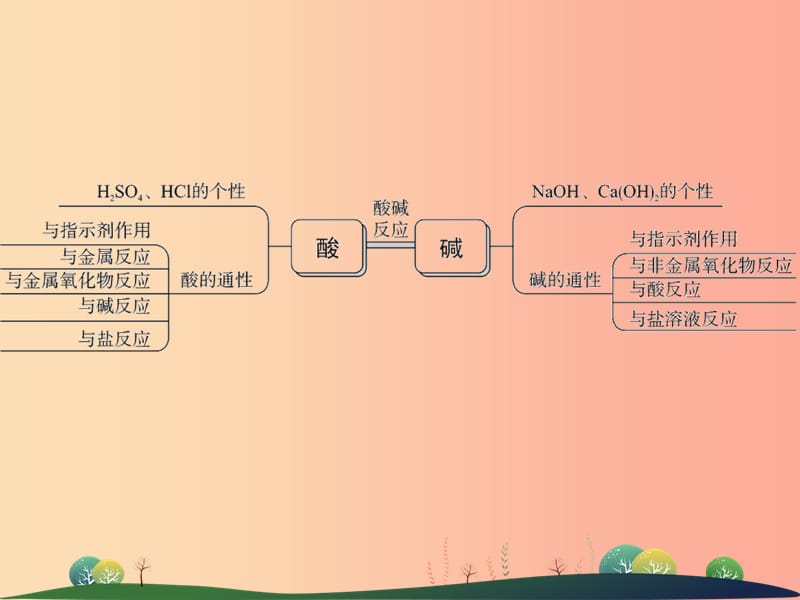 2019年中考科学总复习 第36讲 酸和碱（精讲）课件.ppt_第3页