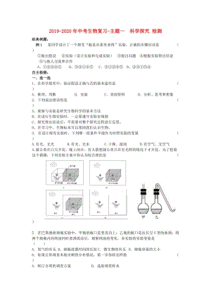 2019-2020年中考生物復(fù)習(xí)-主題一 科學(xué)探究 檢測(cè).doc