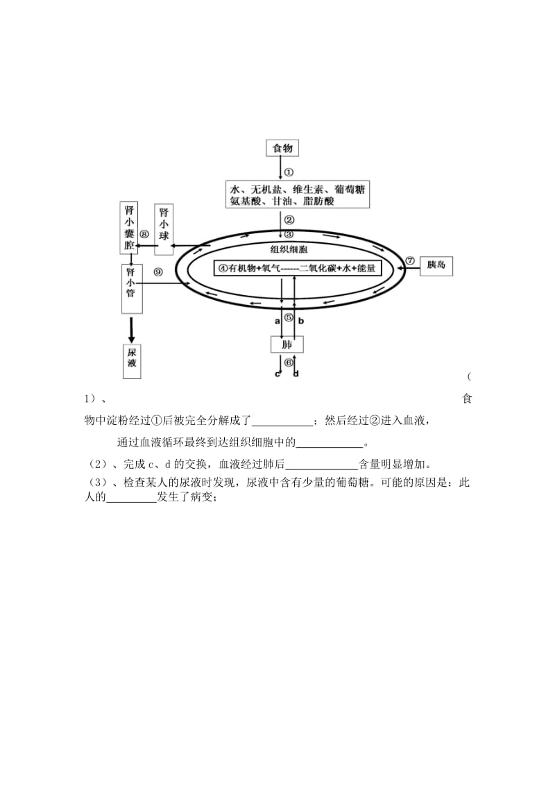 2019-2020年九年级3月份月考生物试题.doc_第2页