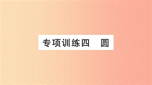 2019春九年級(jí)數(shù)學(xué)下冊(cè) 專項(xiàng)訓(xùn)練四 圓習(xí)題講評(píng)課件 新人教版.ppt