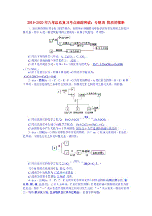 2019-2020年九年級總復(fù)習(xí)考點(diǎn)跟蹤突破：專題四 物質(zhì)的推斷.doc