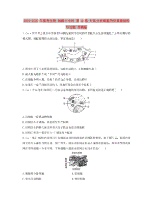 2019-2020年高考生物 加練半小時 第12練 對比分析細胞的亞顯微結構與功能 蘇教版.doc