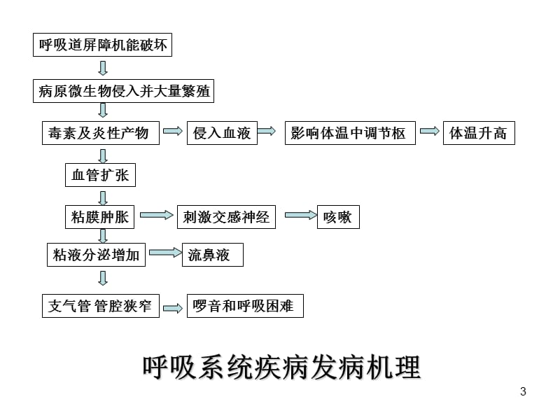 兽医内科学呼吸系统疾病ppt课件_第3页