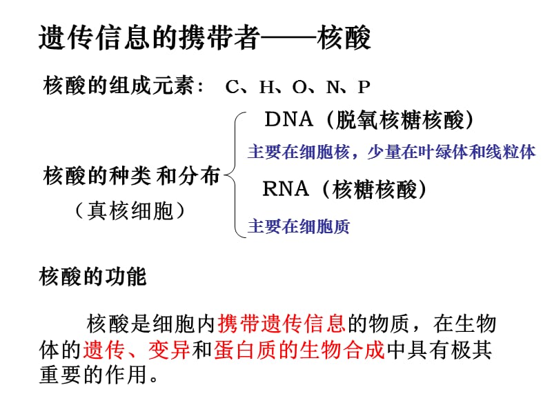 《分子与细胞》一轮复习—4核酸和糖类脂质.ppt_第2页