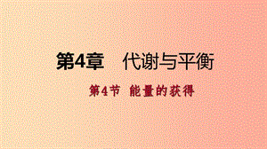 2019年秋九年級科學(xué)上冊 第4章 代謝與平衡 第4節(jié) 能量的獲得課件（新版）浙教版.ppt