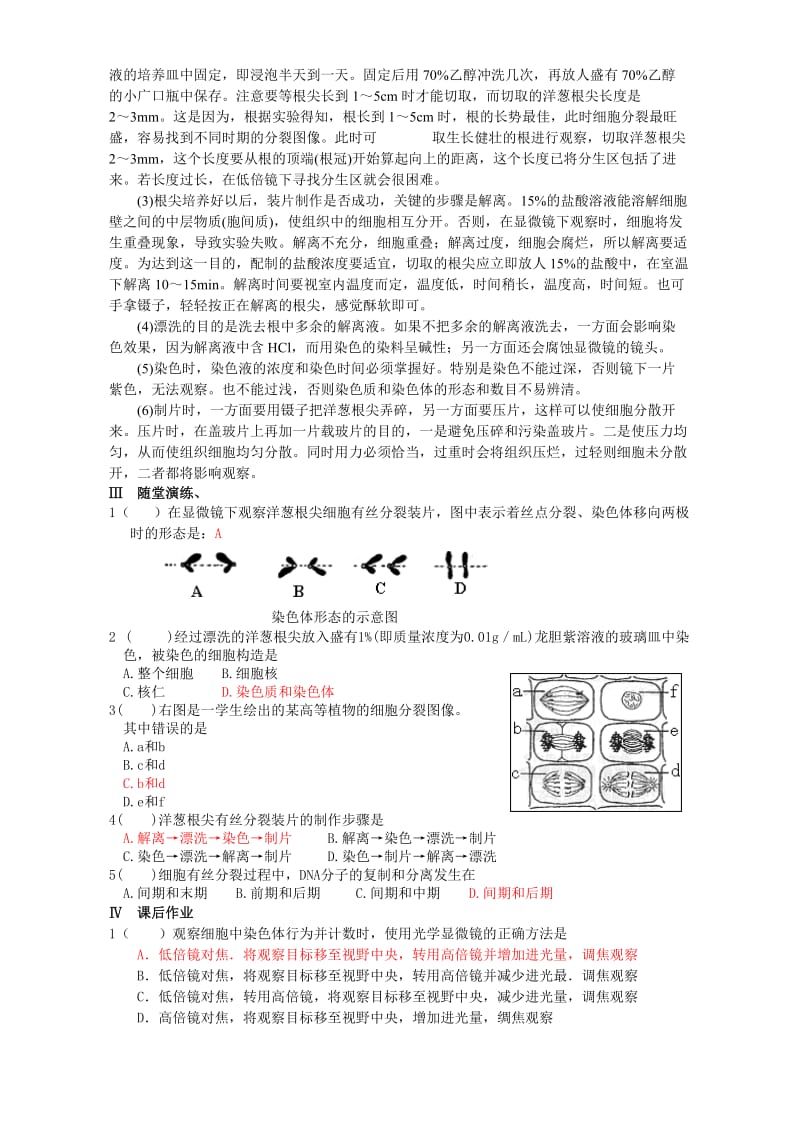 2019-2020年高二生物 实验三 观察植物细胞的有丝分裂 人教版.doc_第2页