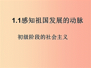 九年級道德與法治上冊 第一單元 認識國情 愛我中華 1.1 感知祖國發(fā)展的脈動 第2框《初級階段的社會主義》.ppt