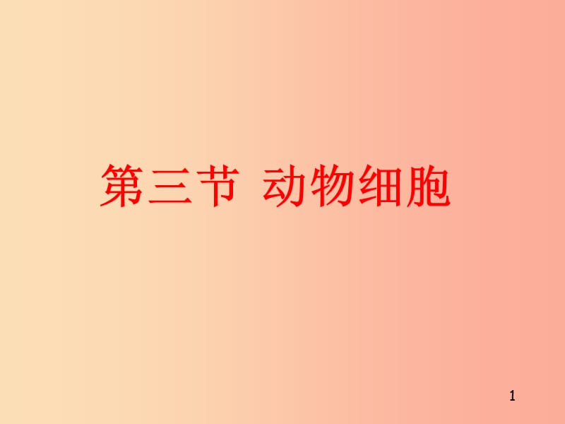 安徽省七年级生物上册 2.1.3 动物细胞课件4 新人教版.ppt_第1页