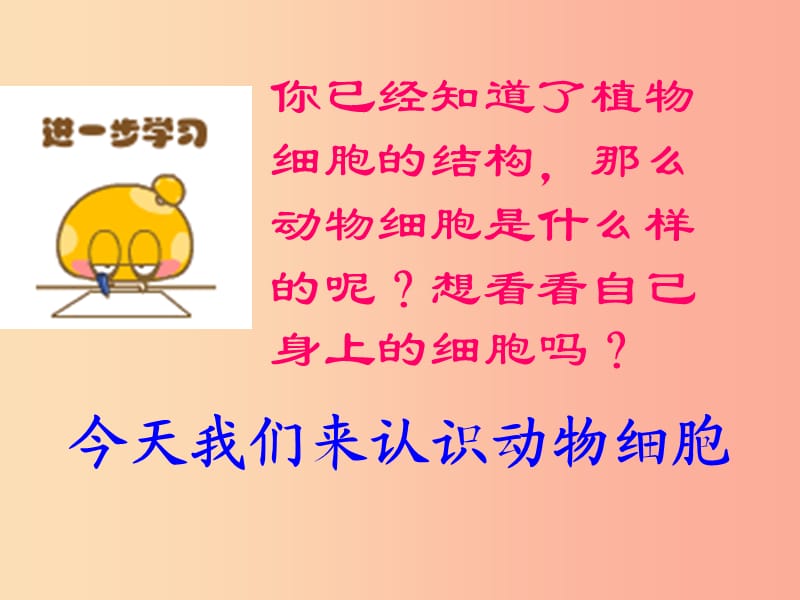 安徽省七年级生物上册 2.1.3 动物细胞课件4 新人教版.ppt_第3页