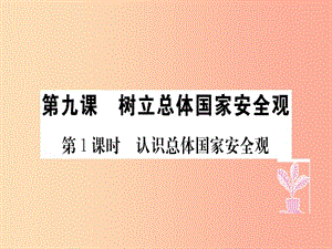 八年級(jí)道德與法治上冊(cè) 第四單元 維護(hù)國家利益 第九課 樹立總體國家安全觀 第1框 認(rèn)識(shí)總體國家安全觀習(xí)題.ppt