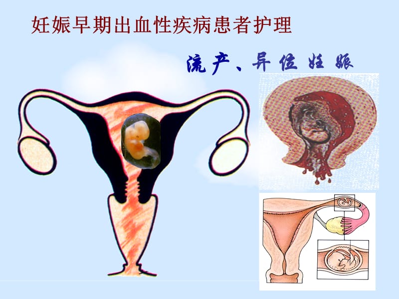 上海医药高等专科学校.ppt_第2页