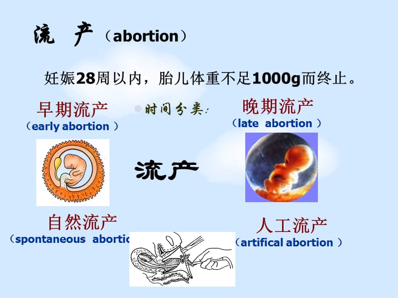 上海医药高等专科学校.ppt_第3页