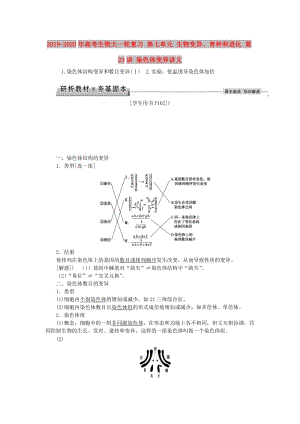 2019-2020年高考生物大一輪復習 第七單元 生物變異、育種和進化 第23講 染色體變異講義.doc