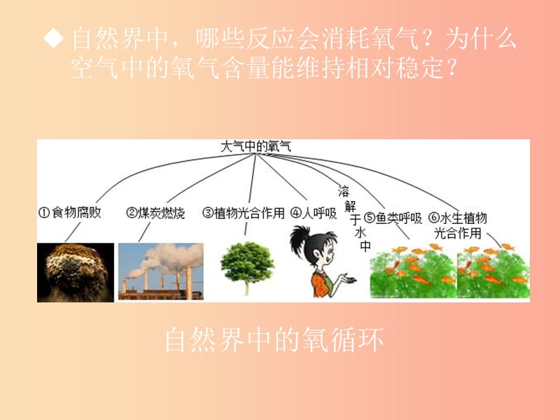 江苏省九年级化学上册 2.1 性质活泼的氧气（1）课件 沪教版.ppt_第3页