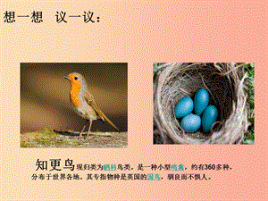 吉林省八年級(jí)生物下冊(cè) 7.1.4鳥(niǎo)的生殖和發(fā)育課件 新人教版.ppt