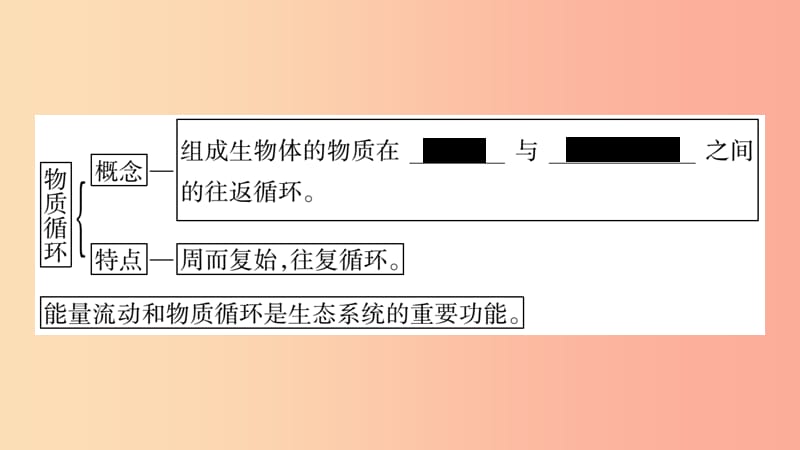 广西省玉林市2019年八年级生物下册 第八单元 第23章 第3节 生态系统的结构和功能（第2课时）课件 北师大版.ppt_第3页