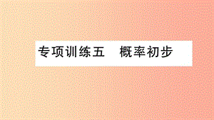 2019春九年級(jí)數(shù)學(xué)下冊(cè) 專(zhuān)項(xiàng)訓(xùn)練五 概率初步習(xí)題講評(píng)課件 新人教版.ppt