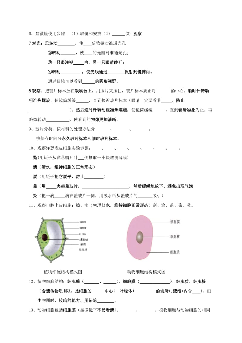 2019-2020年七年级生物上册 一二三的基础知识回顾（新版）新人教版.doc_第2页