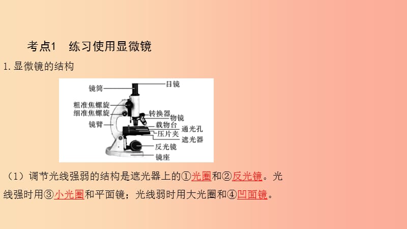 2019中考生物总复习 第一部分 基础考点巩固 第二单元 生物体的结构层次 第一章 细胞是生命活动的基本单位.ppt_第3页