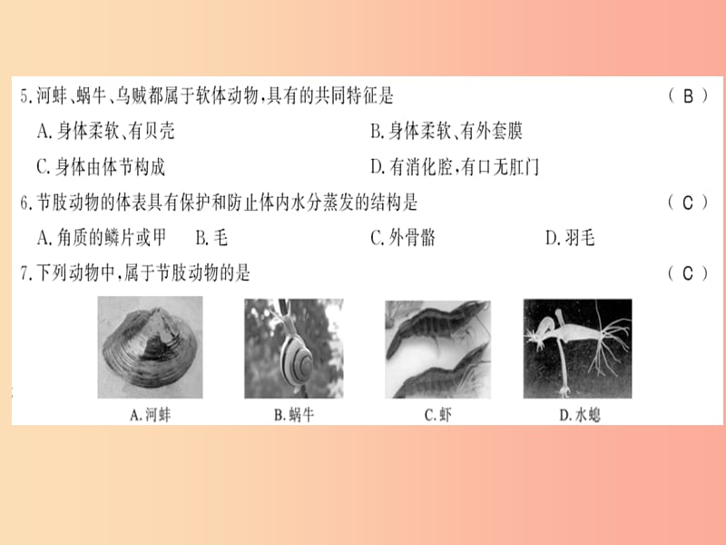 2019年八年级生物上册 第五单元 第1章 动物的主要类群测评卷习题课件 新人教版.ppt_第3页