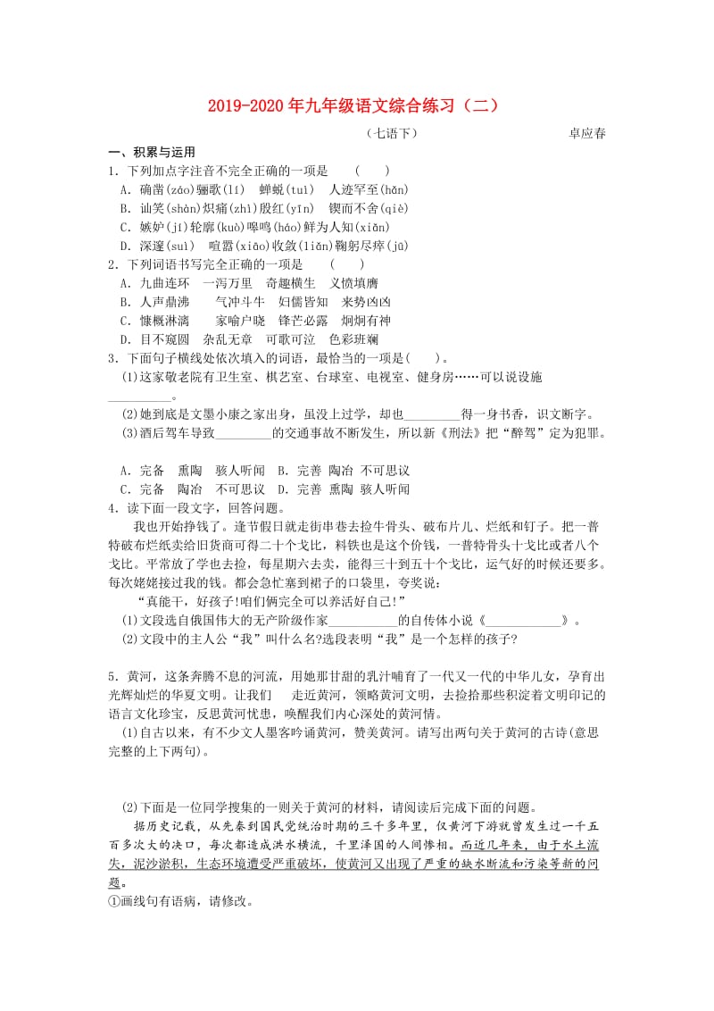 2019-2020年九年级语文综合练习（二）.doc_第1页