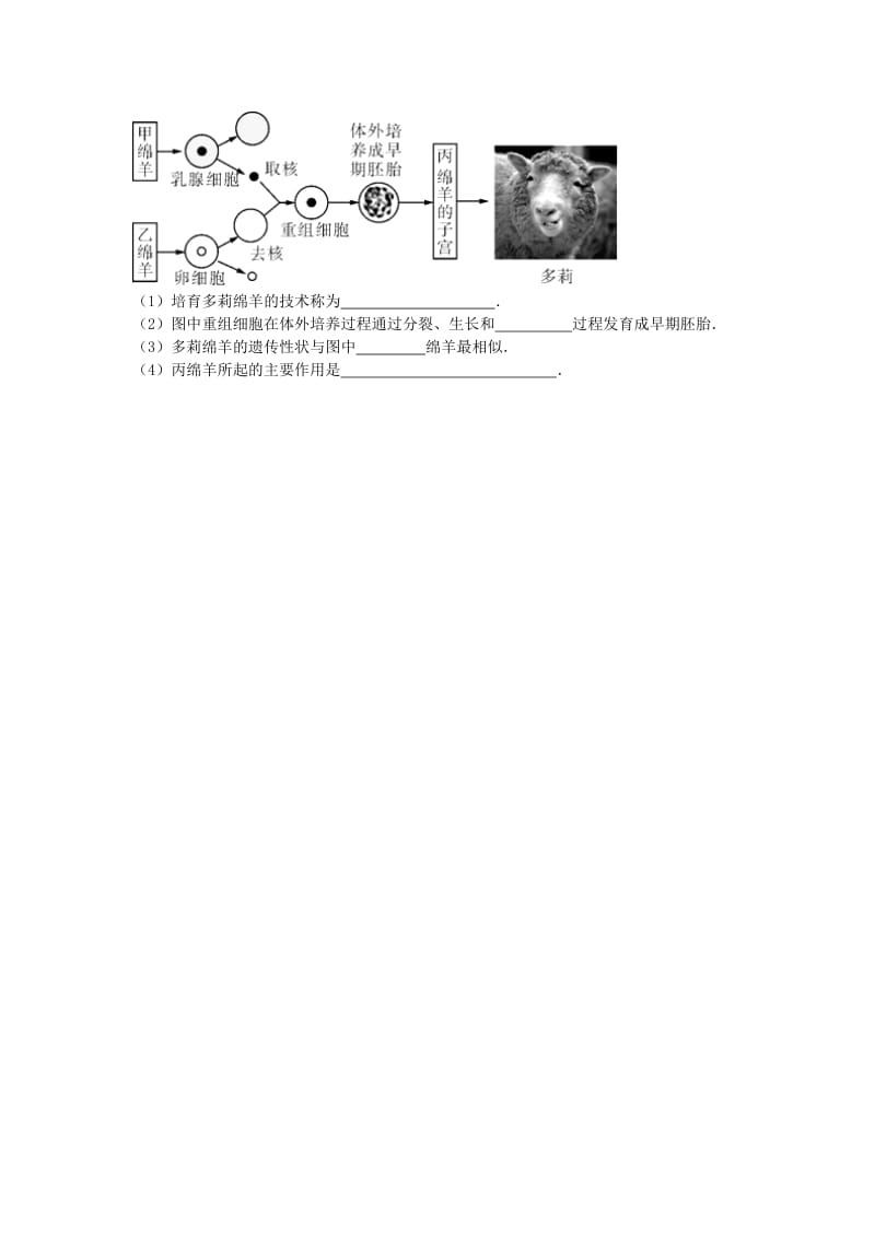 2019-2020年中考生物复习 第九单元 第二节 现代生物技术特色训练.doc_第3页