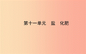 山東省東營市2019年中考化學復(fù)習 第十一單元 鹽 化肥課件.ppt