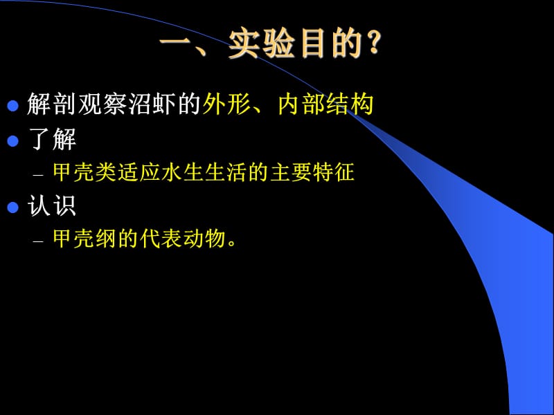 动物学实验教案7沼虾解剖.ppt_第2页