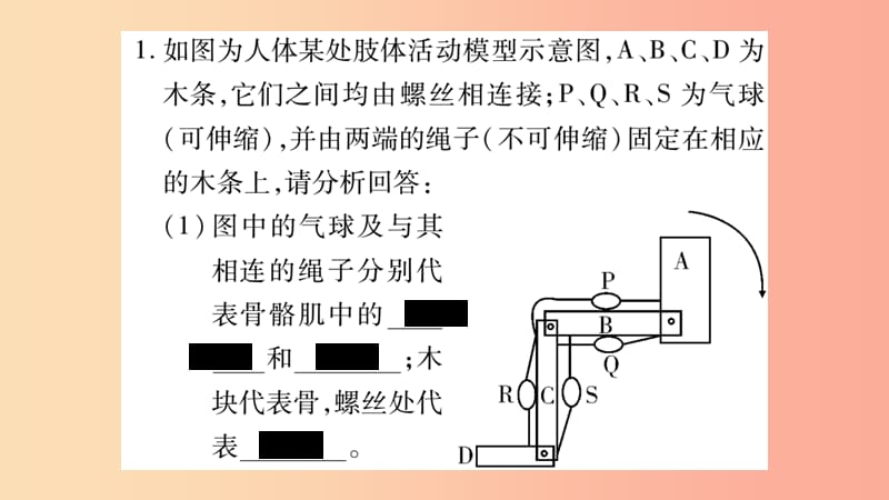 广西省玉林市2019年八年级生物上册实验专项训练课件（新版）北师大版.ppt_第2页