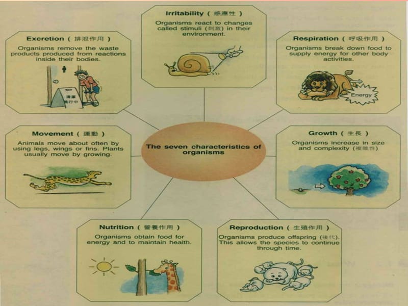 山东省七年级生物上册 第一单元奇妙的生命现象生物的基本特征课件（新版）济南版.ppt_第3页