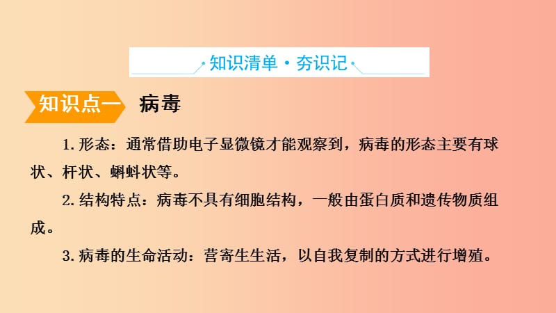 山东省2019年中考生物主题复习五生物圈中的微生物课件济南版.ppt_第2页