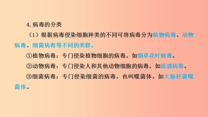 山东省2019年中考生物主题复习五生物圈中的微生物课件济南版.ppt_第3页