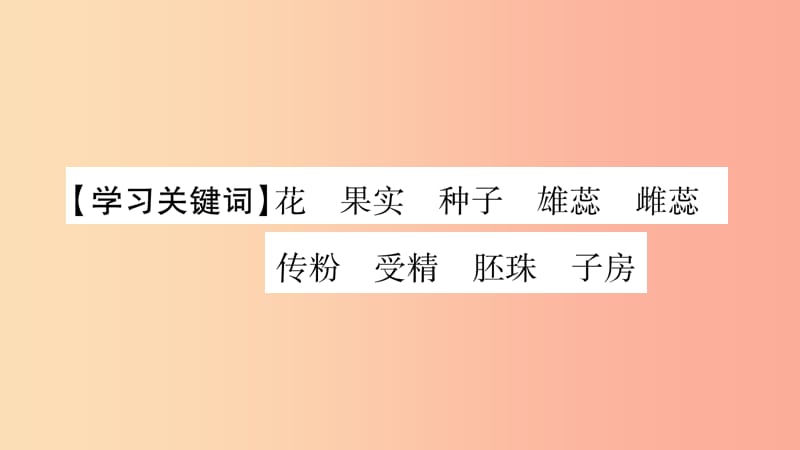 2019秋七年级生物上册第三单元第6章第3节生殖器官的生长习题课件（新版）北师大版.ppt_第2页