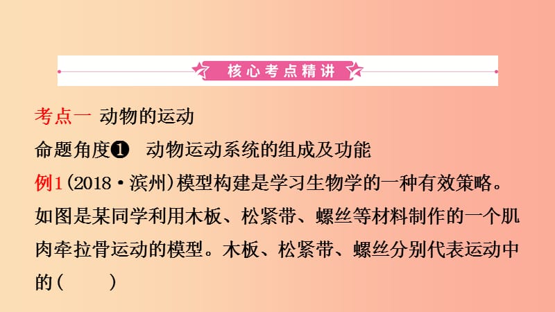 山东省2019年中考生物总复习 第二单元 多彩的生物世界 第二 三章课件.ppt_第2页