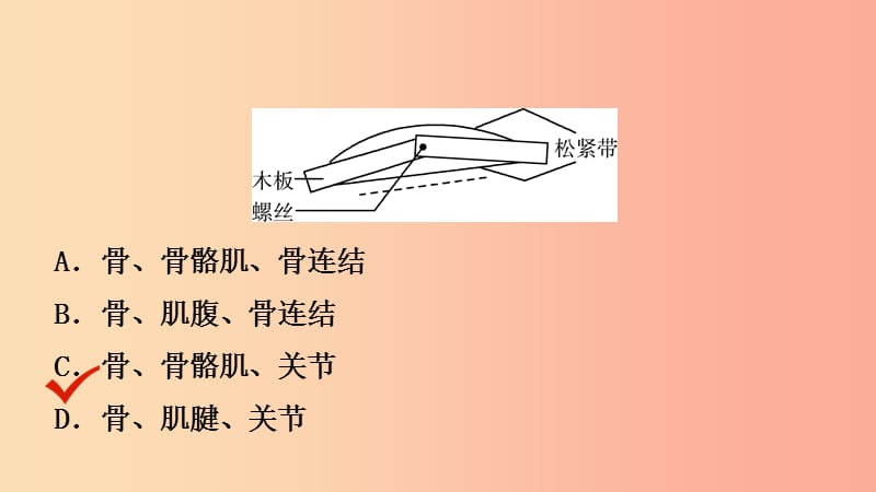 山东省2019年中考生物总复习 第二单元 多彩的生物世界 第二 三章课件.ppt_第3页