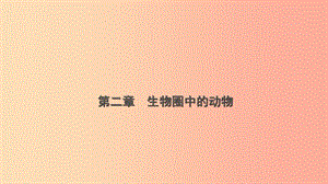 山東省2019年中考生物總復(fù)習(xí) 第二單元 多彩的生物世界 第二 三章課件.ppt