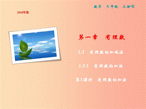 2019年七年級(jí)數(shù)學(xué)上冊(cè) 第1章 有理數(shù) 1.3 有理數(shù)的加減法 1.3.1 第1課時(shí) 有理數(shù)的加法課件 新人教版.ppt