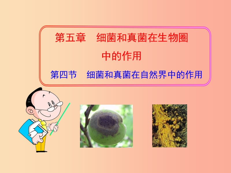 吉林省通化市八年级生物上册 5.4.4细菌和真菌在生物圈中的作用课件 新人教版.ppt_第1页