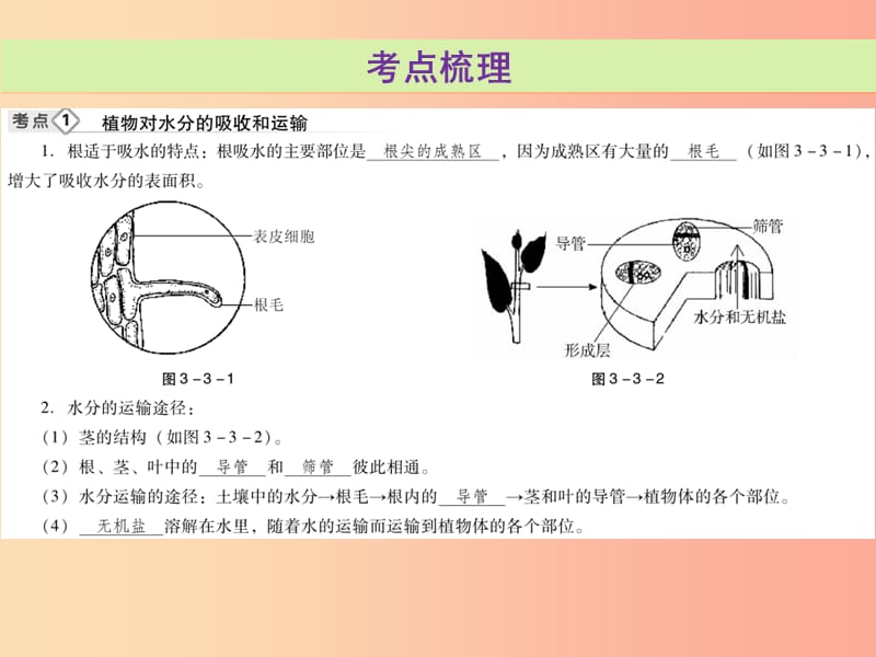 2019年中考生物总复习 第三单元 第三章 绿色植物与生物圈的水循环课件.ppt_第3页