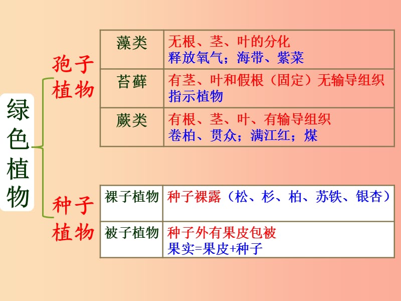 广东省汕头市七年级生物上册 3.1.2种子的结构课件 新人教版.ppt_第1页