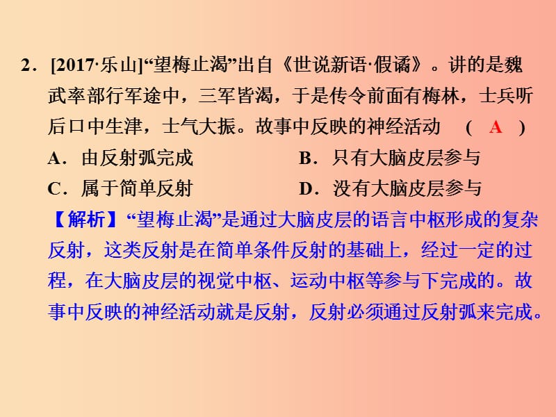 浙江省中考科学（生物部分）第一篇 主题3 第一单元 生命活动的调节课件.ppt_第3页