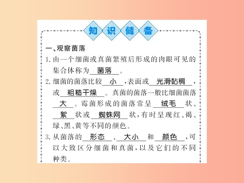 2019年八年级生物上册第五单元第4章第1节细菌和真菌的分布习题课件 新人教版.ppt_第2页