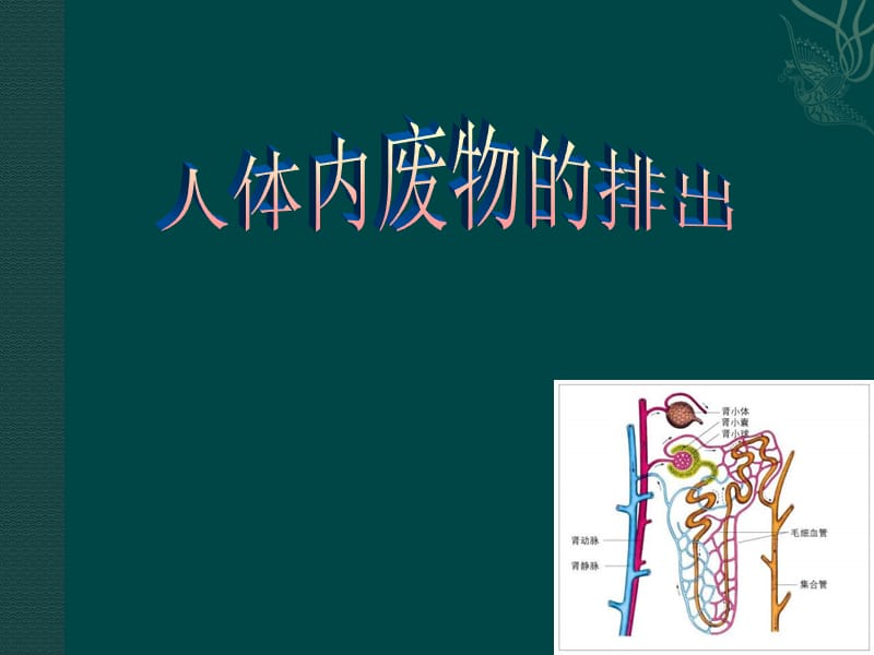 初中一年级第3单元第4章人体内废物的排出.ppt_第1页