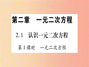 九年級數(shù)學(xué)上冊第2章一元二次方程2.1認(rèn)識一元二次方程第1課時一元二次方程 北師大版.ppt