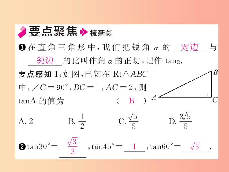 2019年秋九年级数学上册 第4章 锐角三角函数 4.2 正切作业课件（新版）湘教版.ppt_第2页