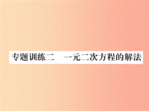 2019年秋九年級數(shù)學(xué)上冊 第2章 一元二次方程 專題訓(xùn)練二 一元二次方程的解法作業(yè)課件（新版）湘教版.ppt