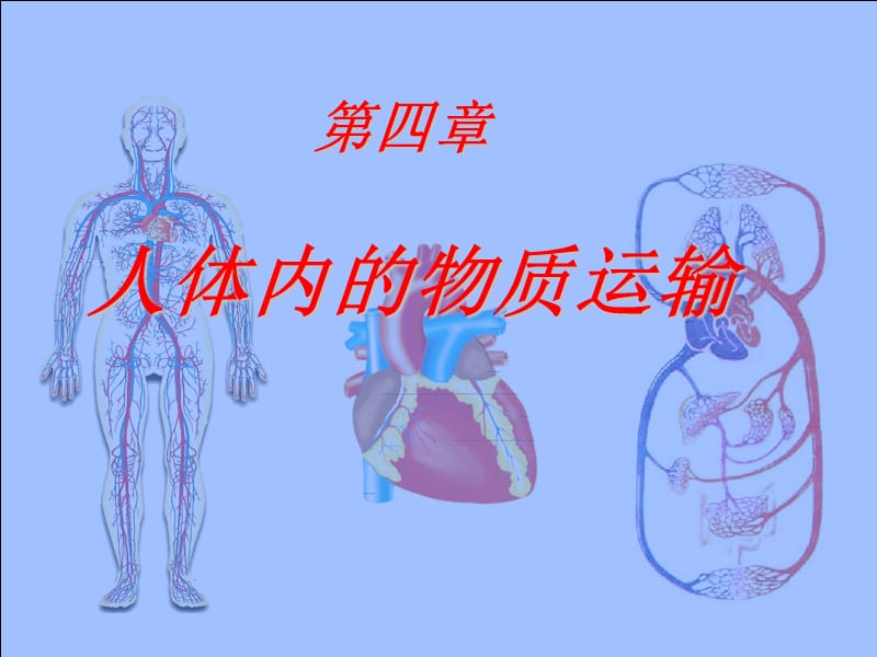 《人体内物质的运输》复习课件(1.2).ppt_第1页