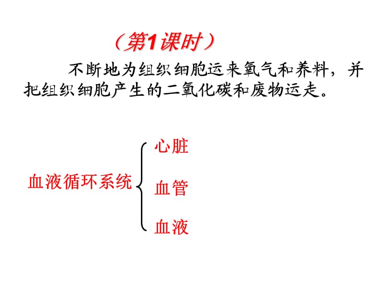 《人体内物质的运输》复习课件(1.2).ppt_第2页